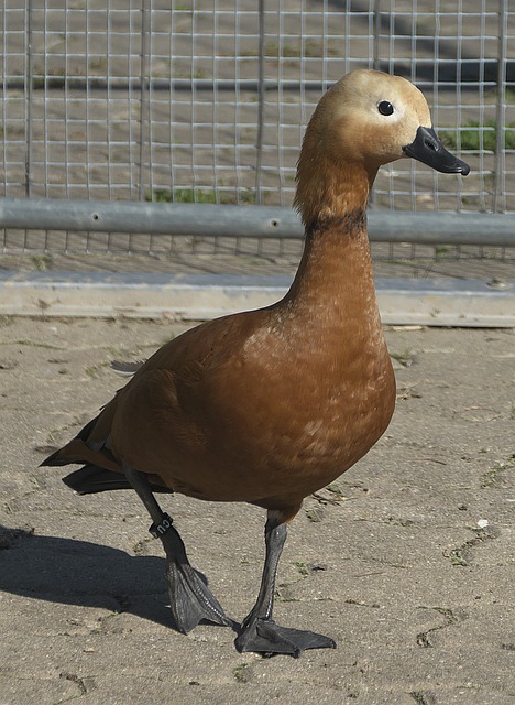 尤其是